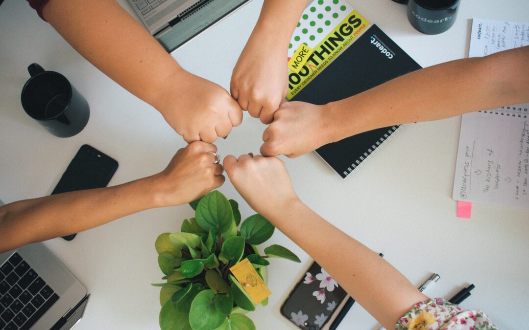 SINERGIA TRA DONNE: LA RINASCITA DEL BLOG BAXTER